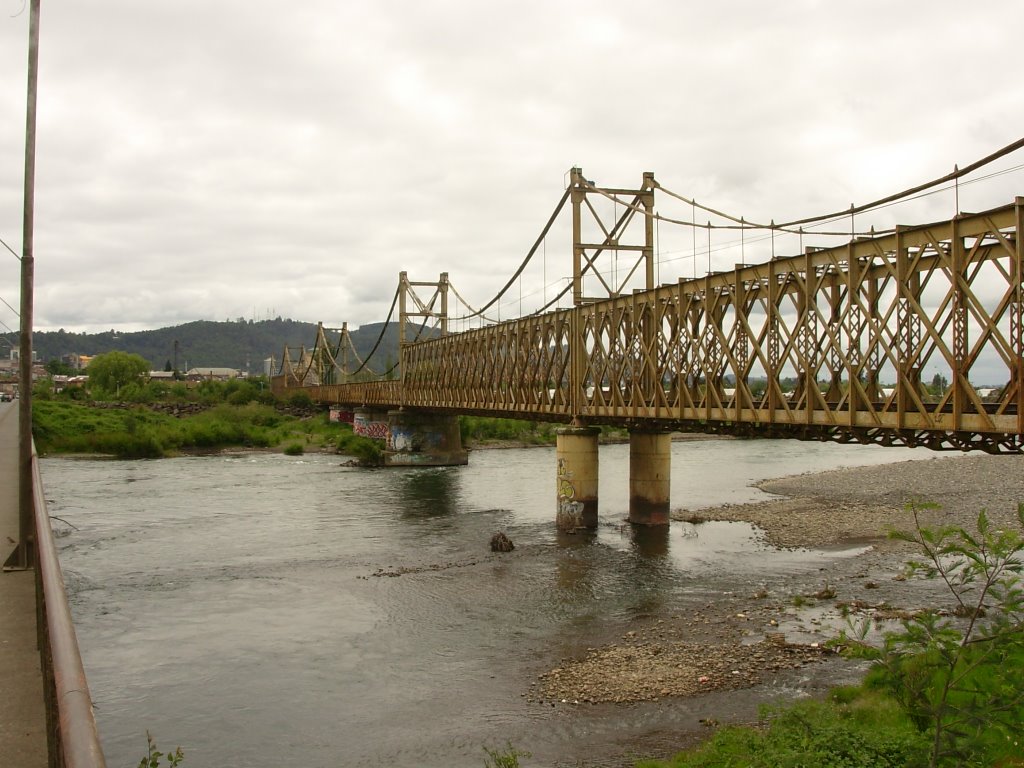 Puente del tren (río cautín) by sansacras