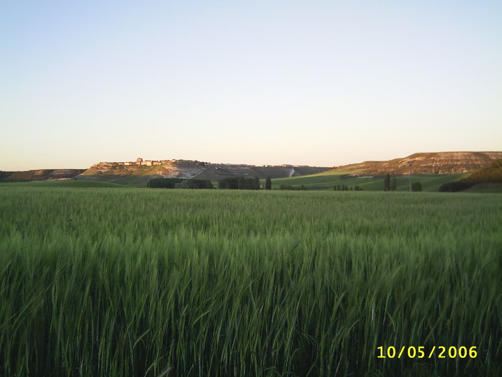 Peñaflor de Hornija, 47640, Valladolid, Spain by sergioreal