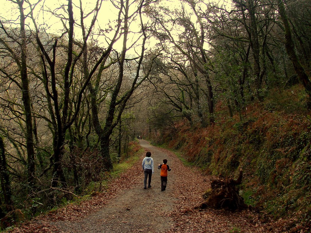 El sendero en invierno by Susana Blanco Pérez