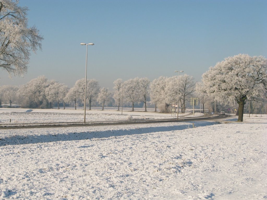 Delden, Deldeneresch (10-01-2009) by Innocenti