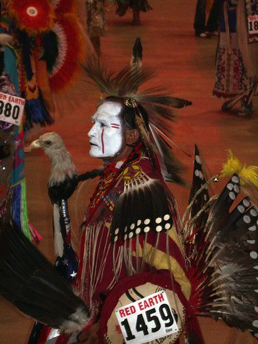 Red Earth - Eagle Dancer by Roserock