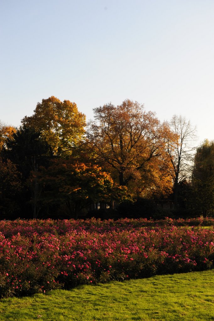 Autumn at aqua zoo park by let's get outta here