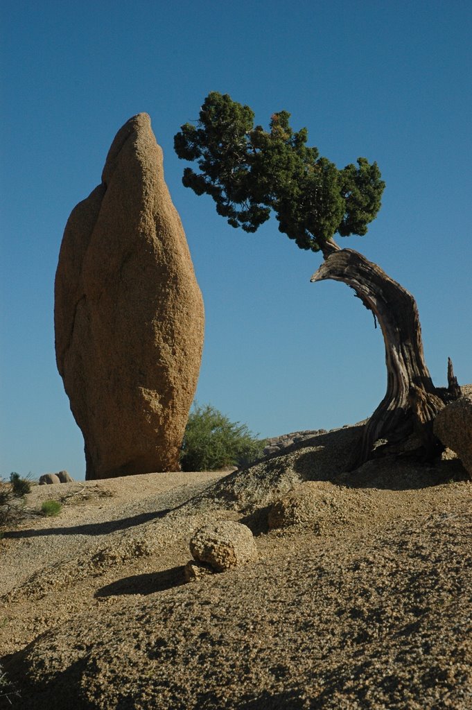 Respecting the Stone by Brad Pettigrew