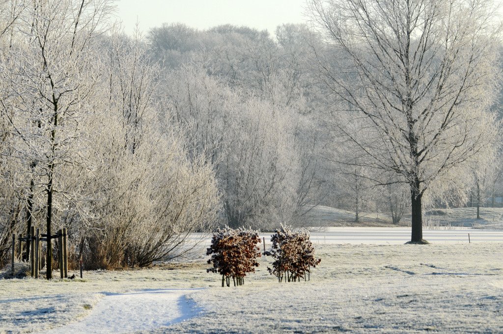 Kromme Rijn hole 5 by mgjb