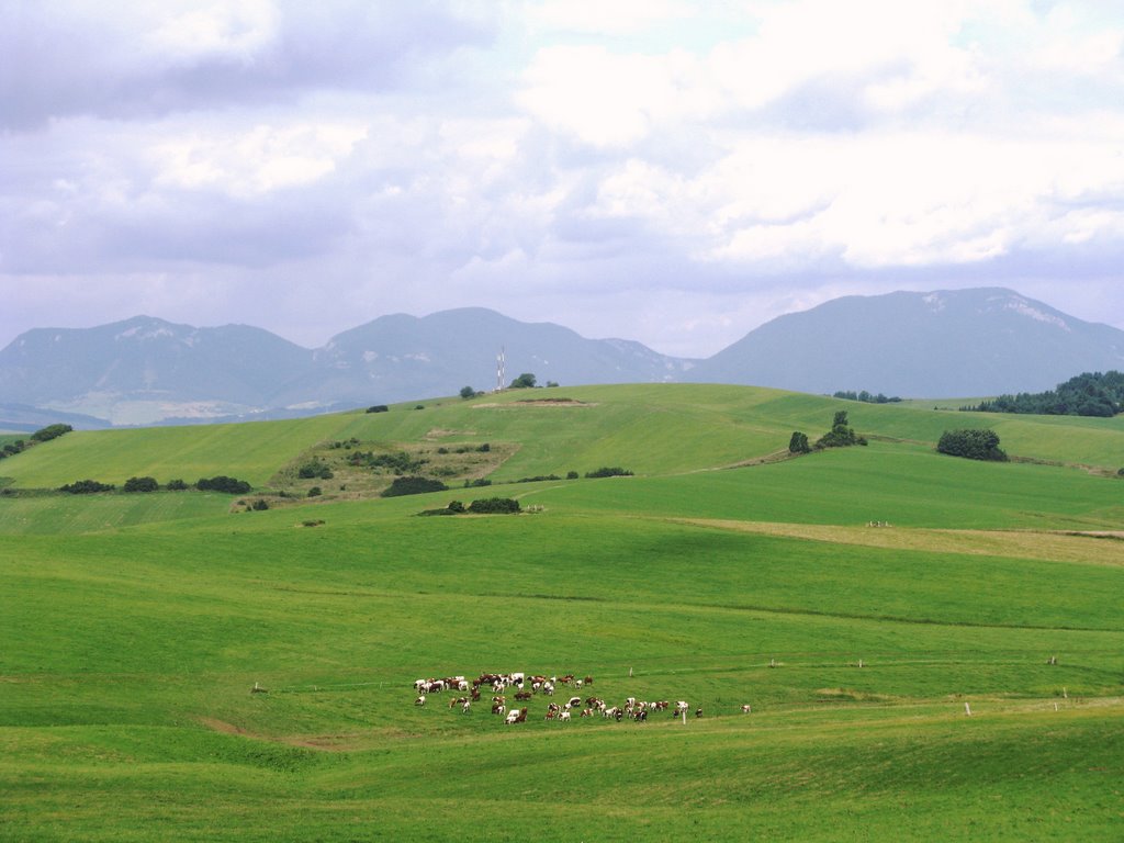 Pavčina Lehota - výhled z rozhledny by b.sikorova