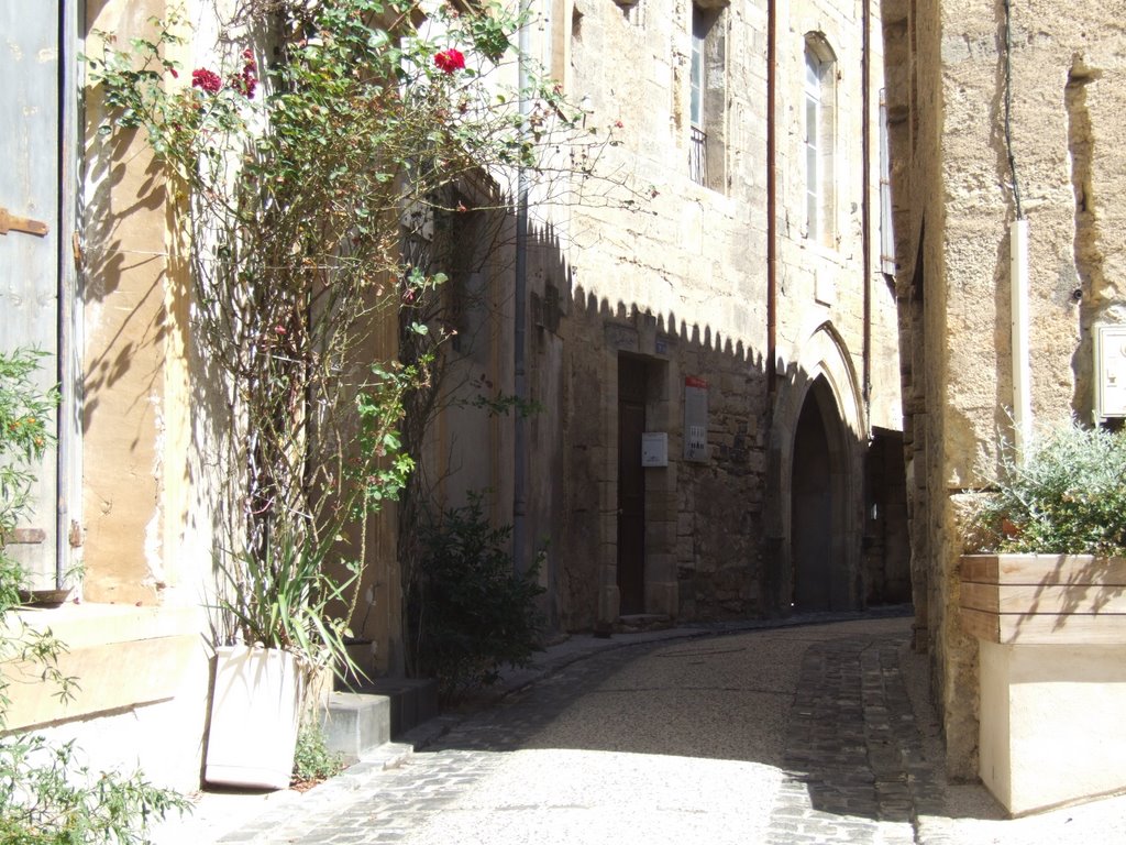 CAUX rue de la Foire by Alain ANDRE