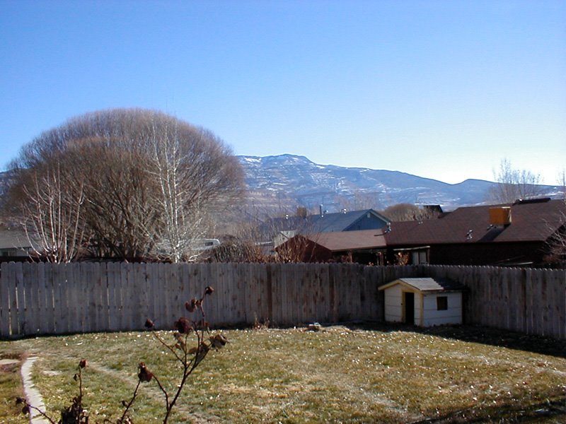 Grand Mesa from Palisade by Sheryl Todd (tapirgal)