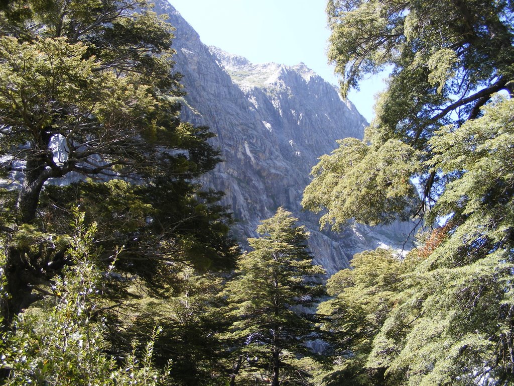 San Fabián, Región del Bío Bío, Chile by Javier Salazar