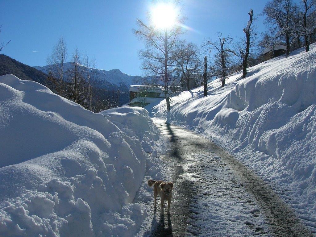 STRADA CIABIU' by piero belforte