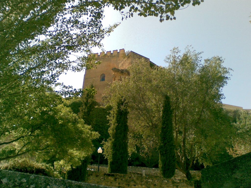 Paisaje de la mota by llosa