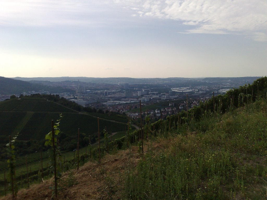 Stuttgart vineyards by SammySambo76