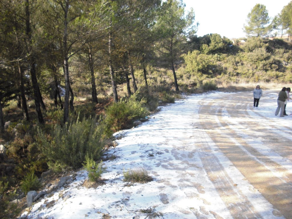 Nieve en El Rebollar,Requena,Valencia. by Alejandro Chuache