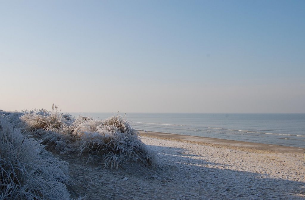 View of the beach - Am Strand by Lecleire Jacques (2)