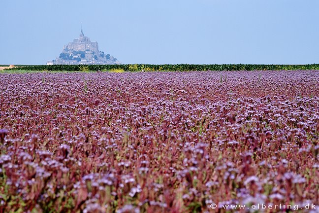 Le Mont Saint-Michel by Philip Elberling