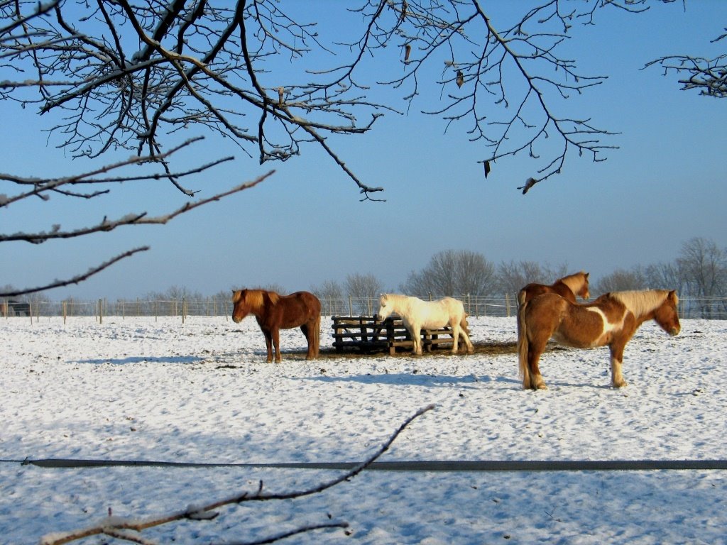 Lichtenberg-25 (Winter) (045°) by © Roland