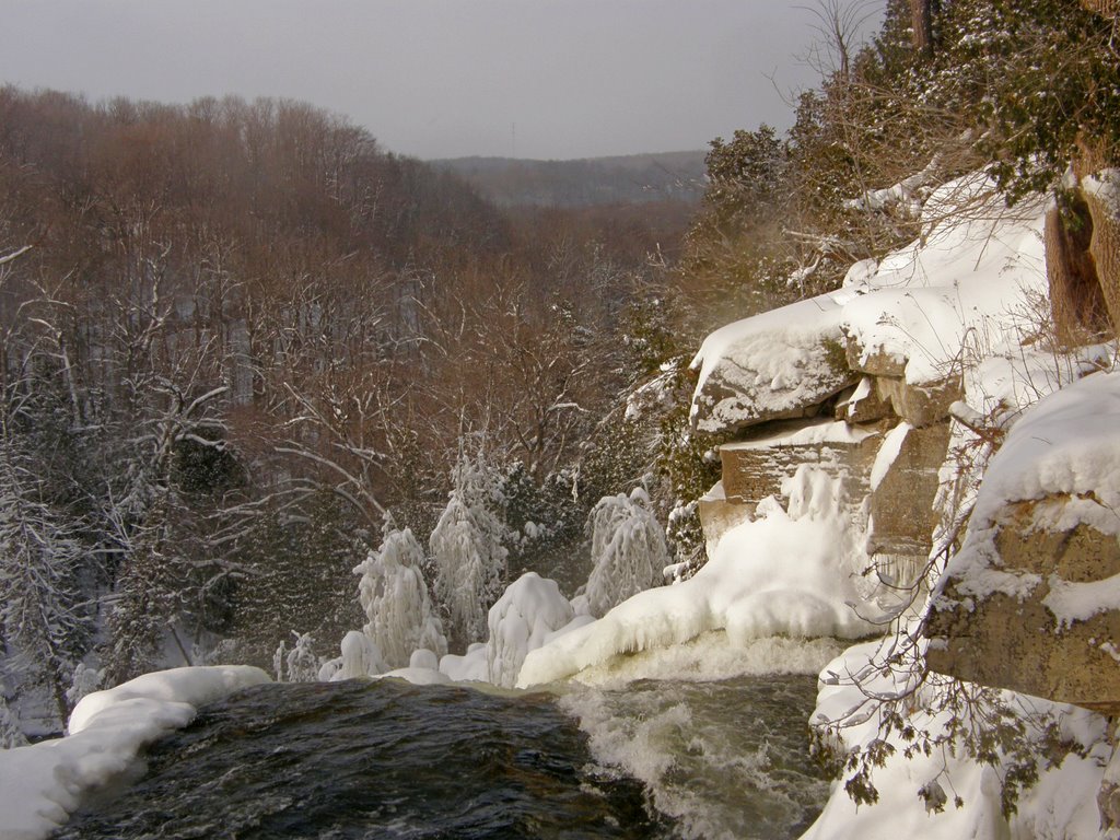 Inglis Falls in winter by Marilyn Whiteley