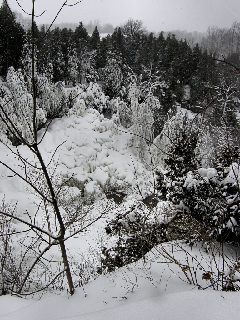 Inglis Falls on a snowy morning by Marilyn Whiteley