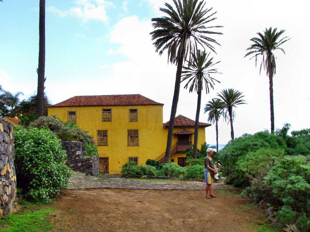 Los Realejos, Santa Cruz de Tenerife, Spain by sewet