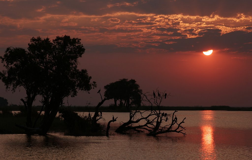 Chobe river by Janco Sustr