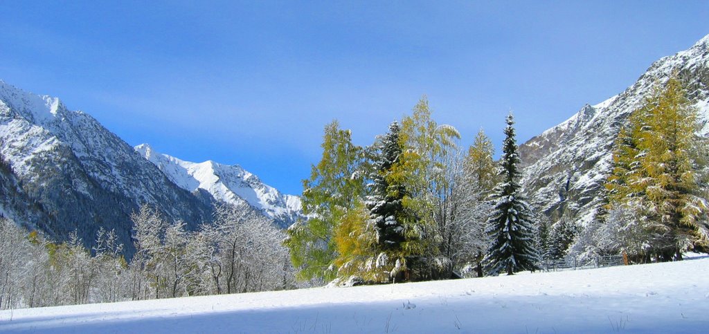 Première neige by lanthelme