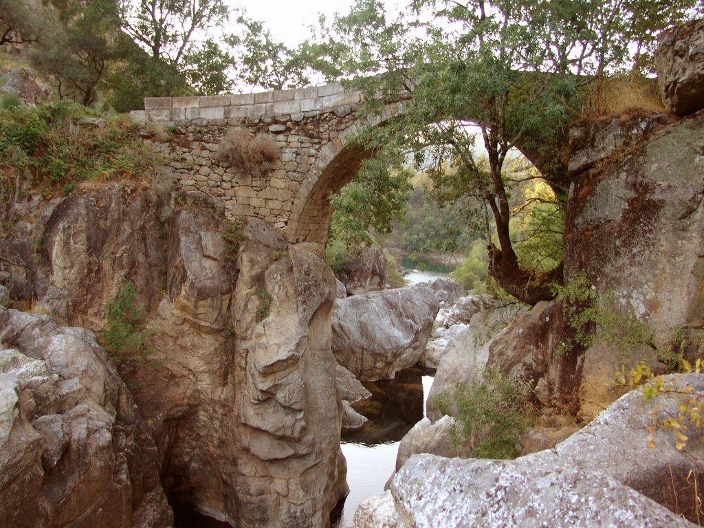 Ponte mizarela by pereira machado