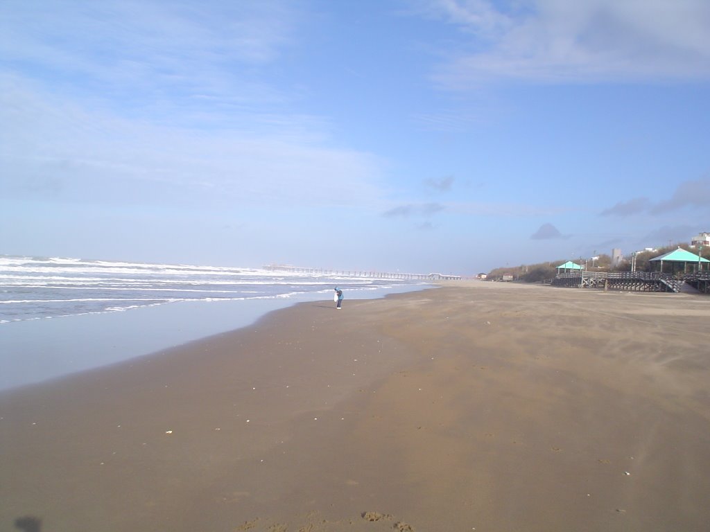 Beach in the winter by elguru