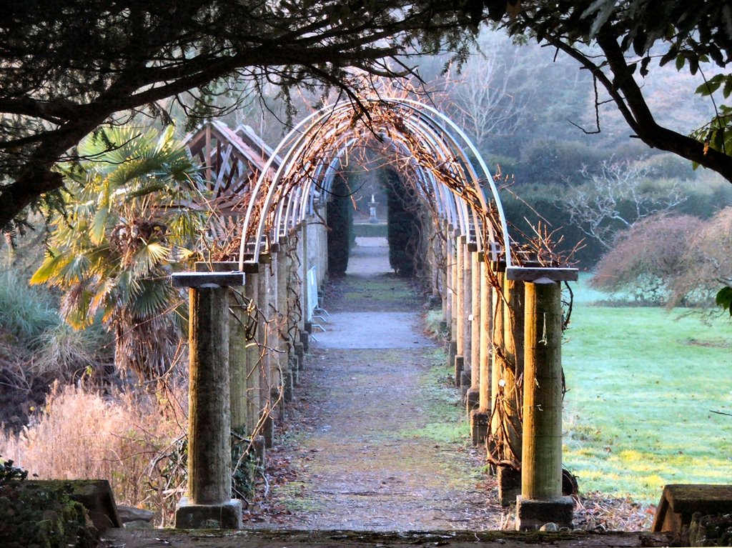 Duffryn gardens december 2005 by jerym