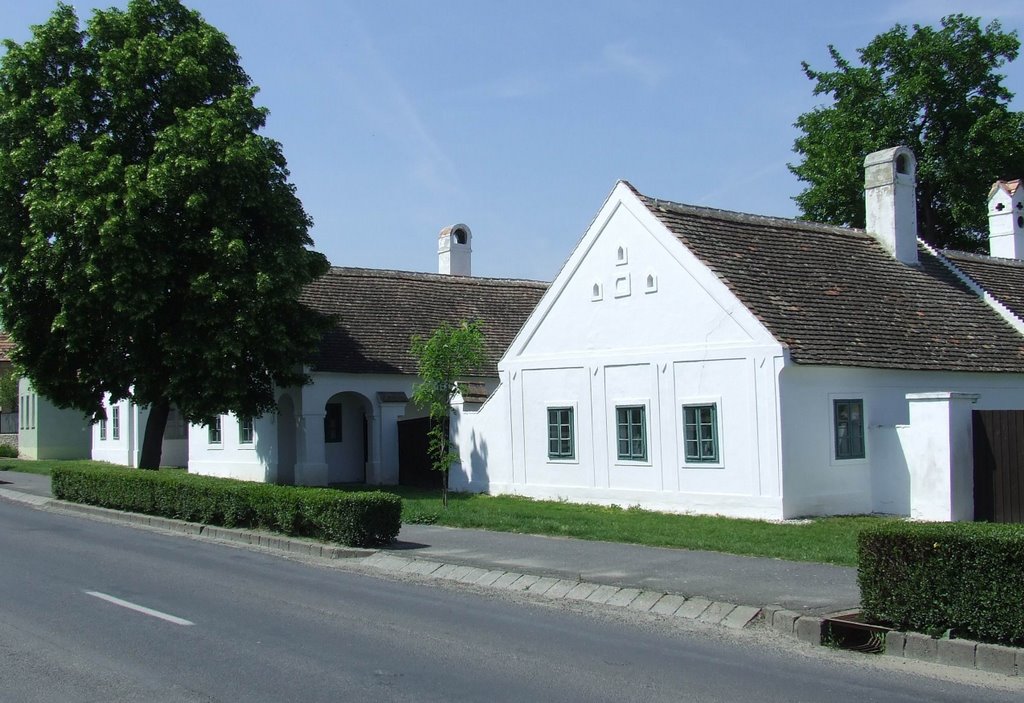 Régi házsor - Fertőszéplak - Row of old houses by Tom Portschy