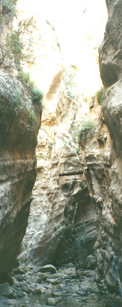 Avakas gorge by Sandy Rae