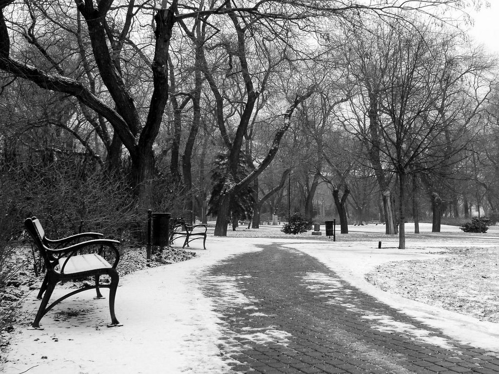 Téli nyugalom -Winter calm by Pinke László