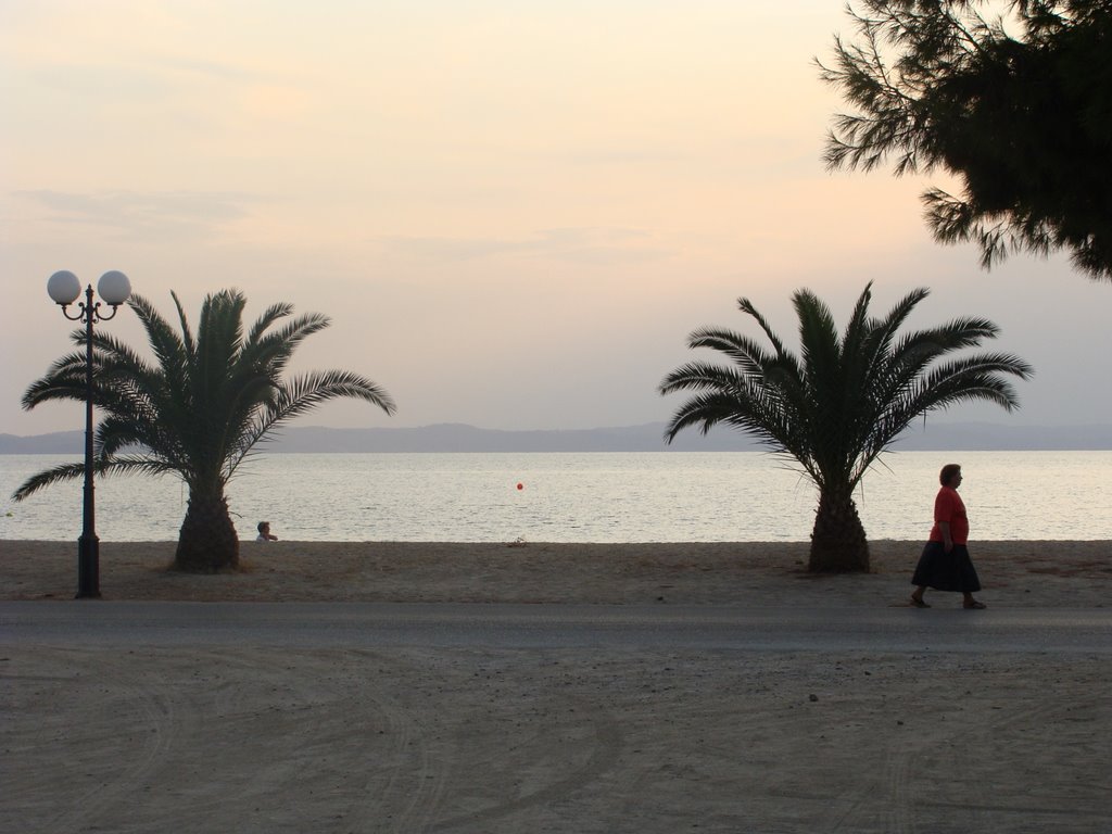 Toroni Basil After Sunset by ggxxgg