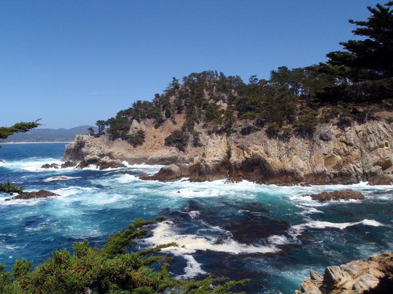 Point Lobos by Lost Remote