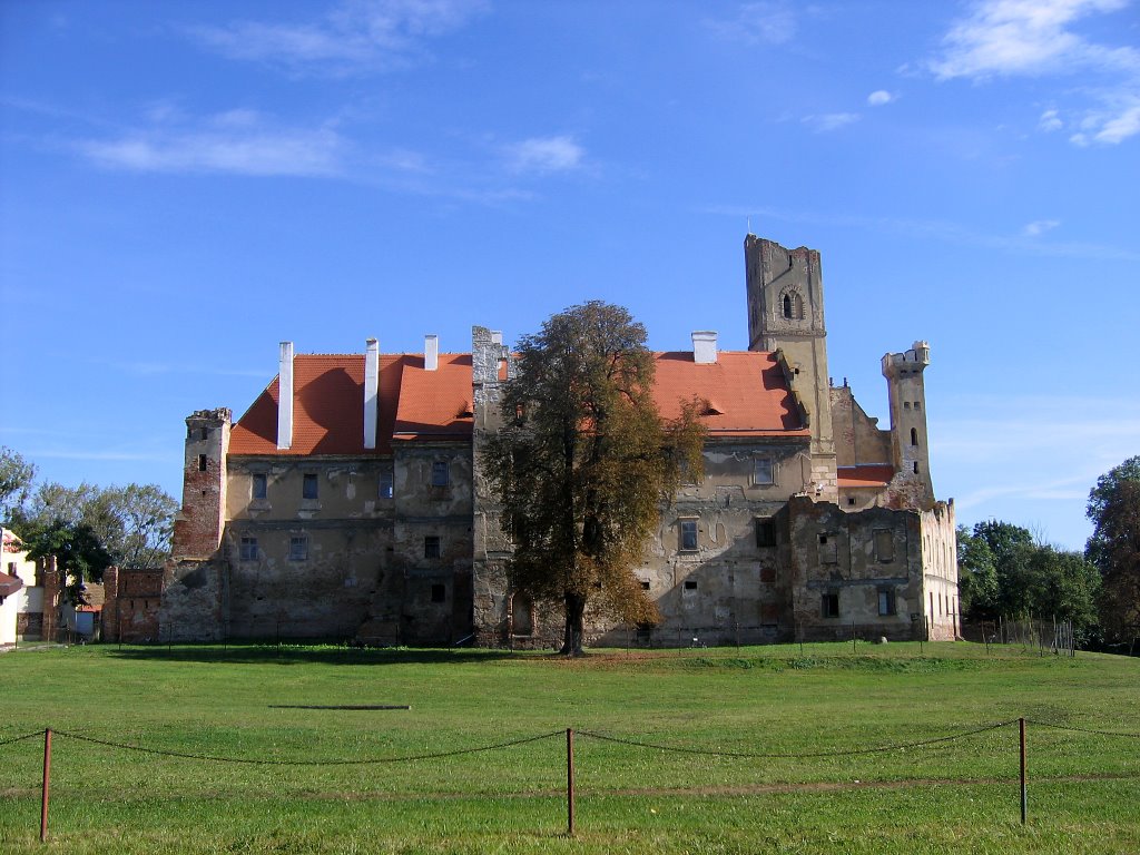 Breclav Castle by Ivo Ricanek