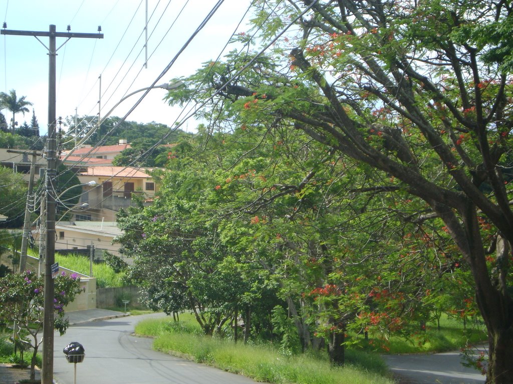 Parque São Quirino - R. Dr. Julio Soares de Arruda com seus belos jardins by Alexander Denarelli