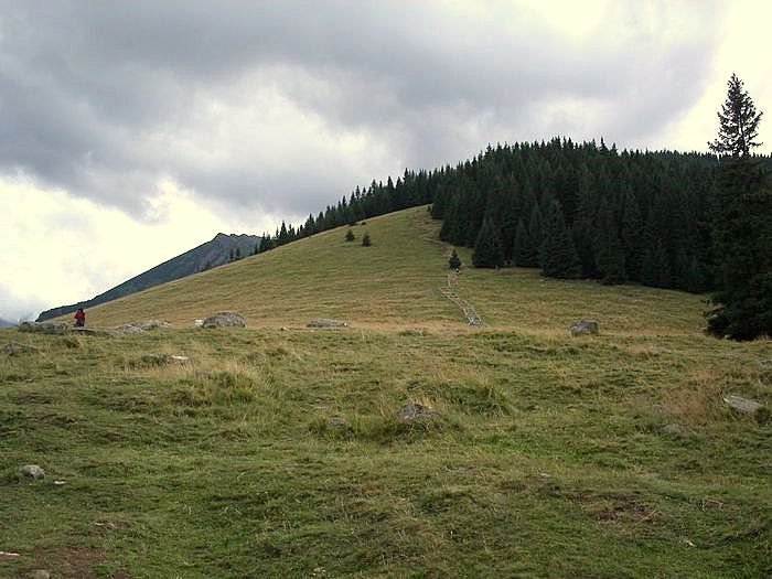 RUSINOWA POLANA by Janusz Kabas (kabjan…