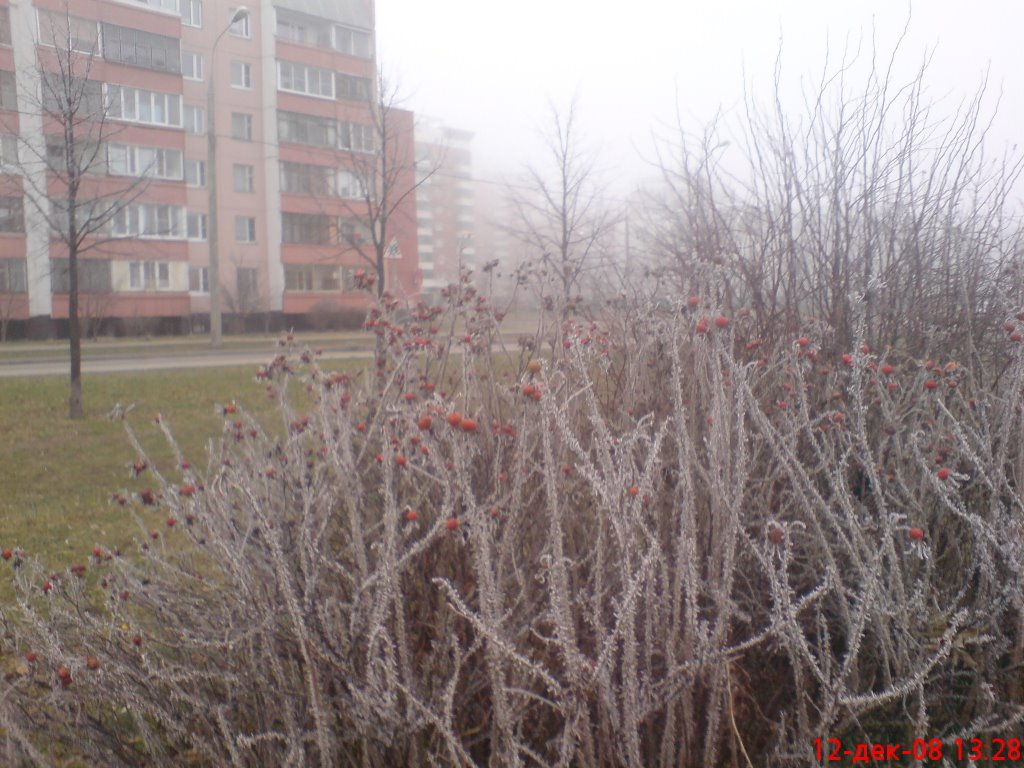 Yuzhnoye Butovo District, Moscow, Russia by Князев Евгений