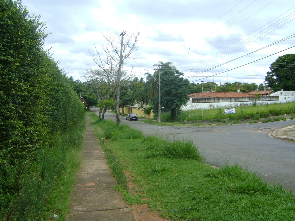 Parque São Quirino - R. Luis Paolieri by Alexander Denarelli