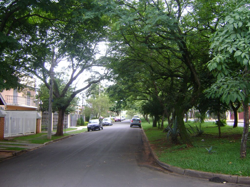 Parque São Quirino - R. Euclides Vieira e uma belo canteiro todo arborizado by Alexander Denarelli