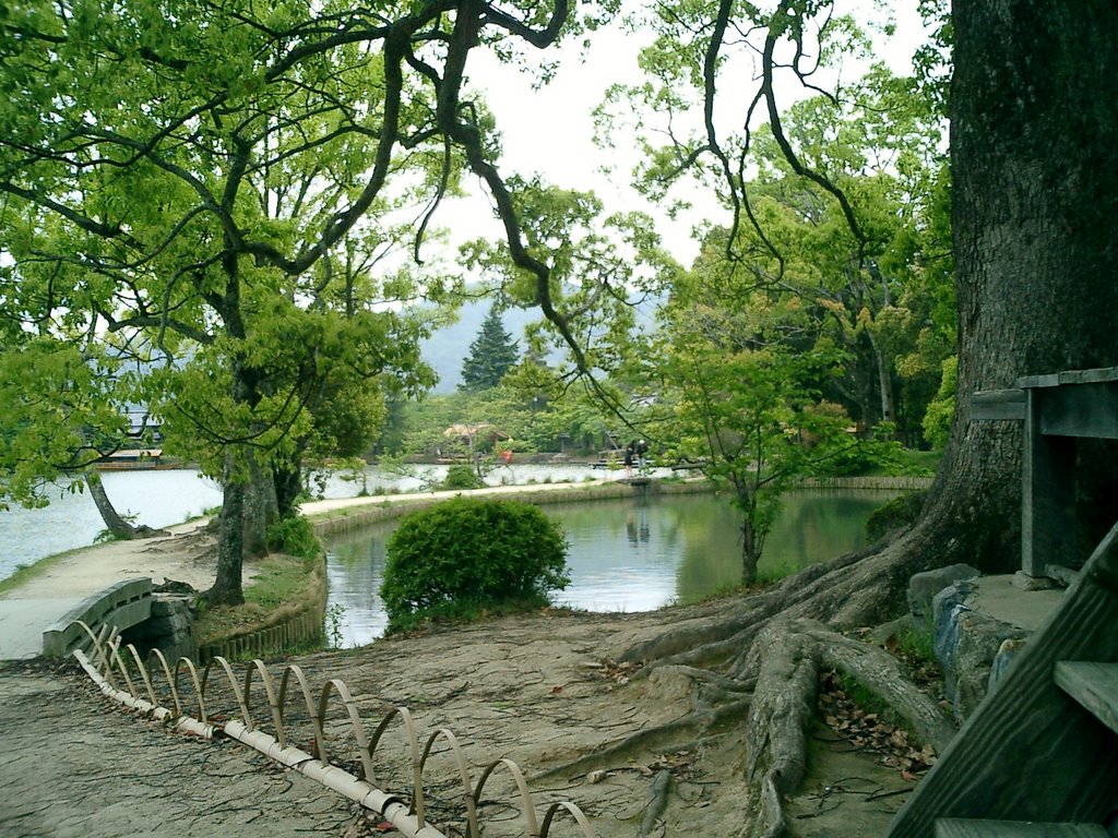 Oosawa-pond　大沢の池 by kyoto_van