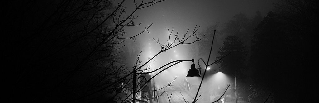 Lion's Gate Bridge Disappears In The Fog At 2AM by Steve Vanden-Eykel