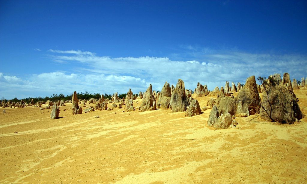 Pinnacles desert western OZ by Dave Crowe