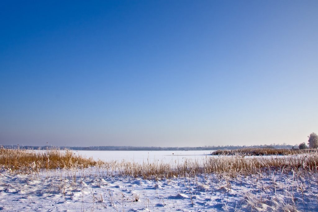 Frozen lake, Strabrechtse Heide, Lierop by Green Knee