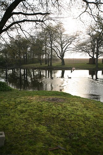 Stagecoach Inn Pond by Roserock