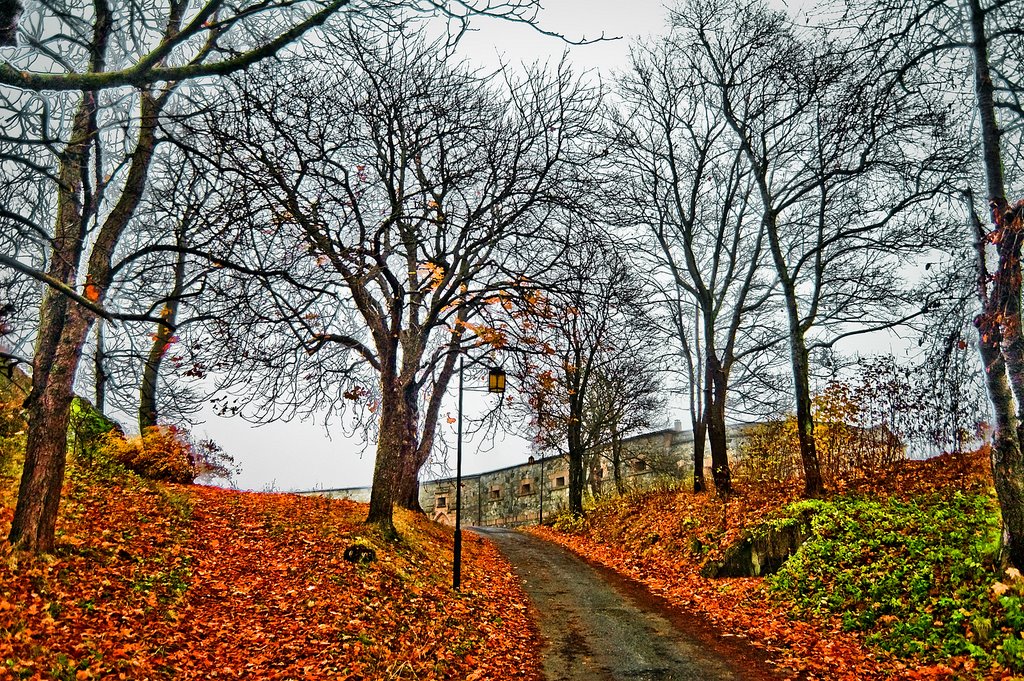 Autumn at Oscarsborg by foto-geir