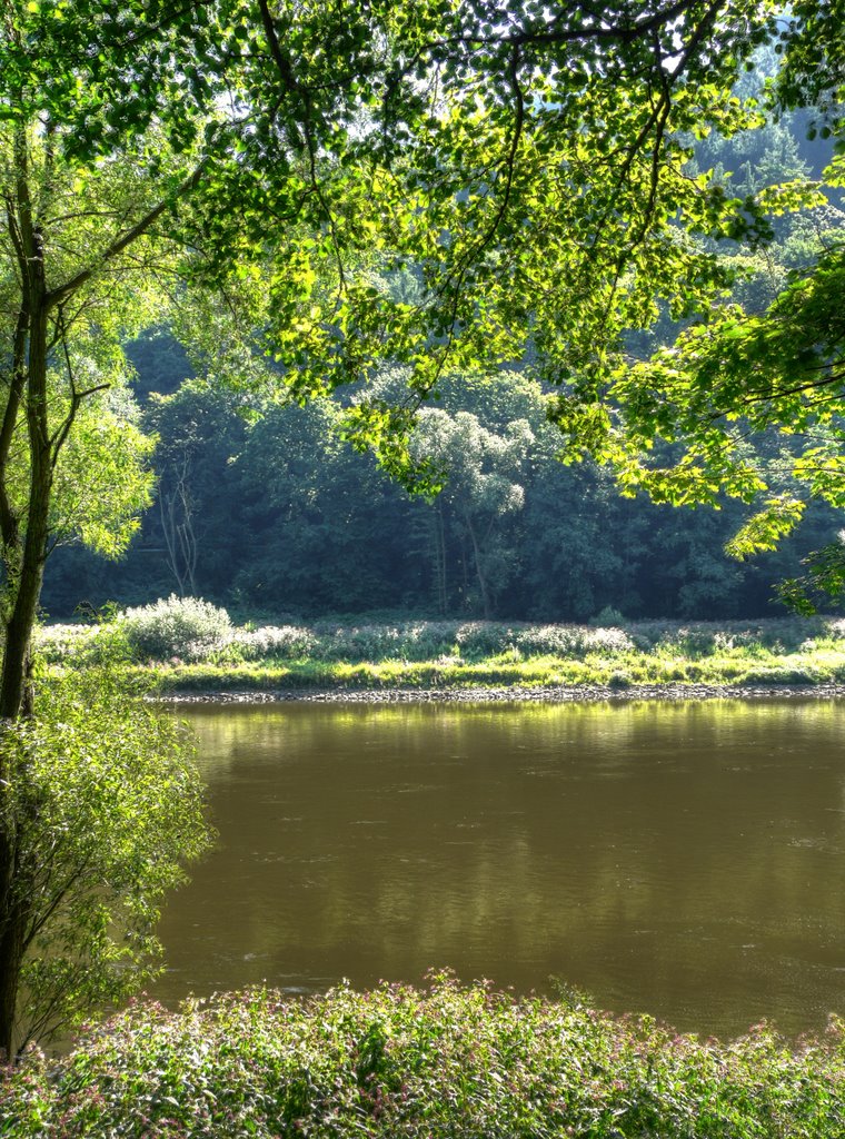 Rvier Elbe Scenery by Jynto