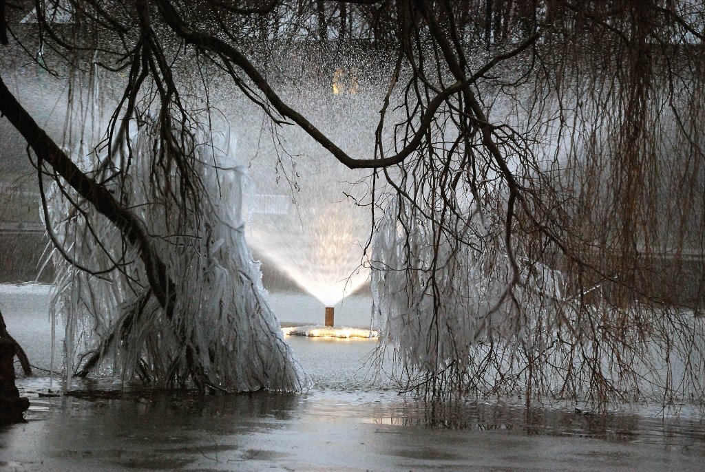 Frozen Willow 1 by Neil Coppick