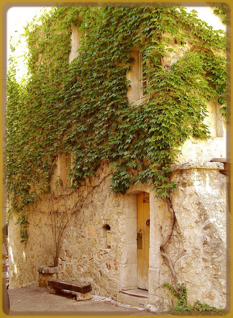 Une jolie petite rue de Fayence 83 A-B by André Bouchaud