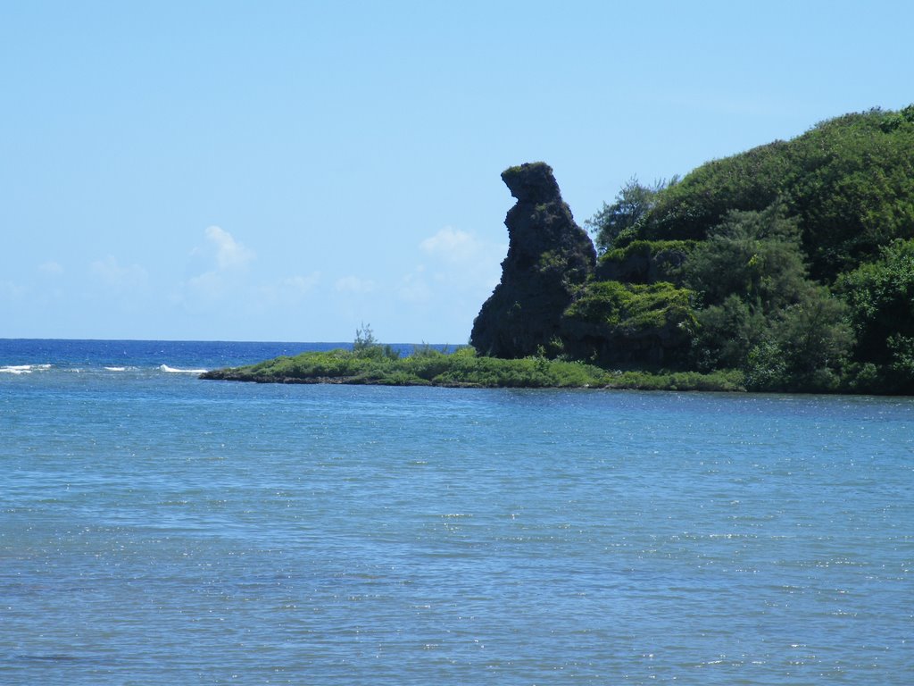 Bear Rock by kawahiro