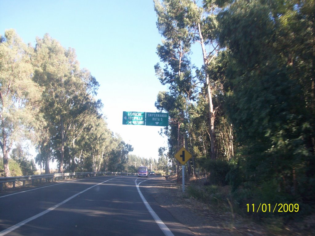 Ruta 90. Desvío a Melipilla y a San Antonio. Marchigüe VI Región by Ignacio Paredes