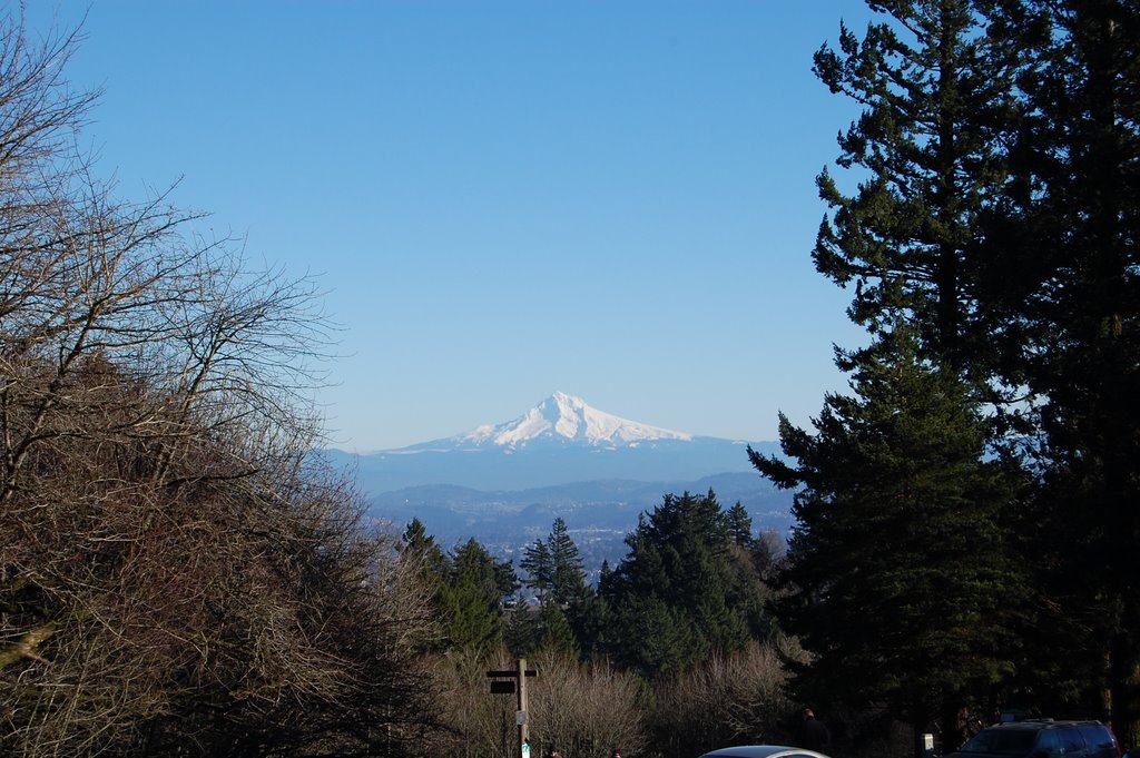 MT. Hood Chris Yoder by spiceupdinner